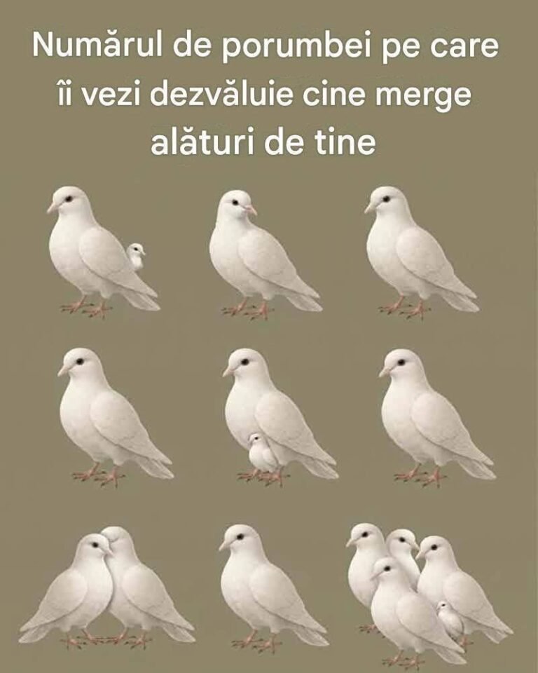 Numărul de porumbei pe care îi vezi dezvăluie cine merge alături de tine